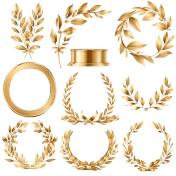 vong-nguyet-que-vector