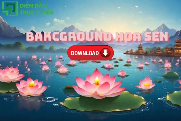 Background hoa sen vector