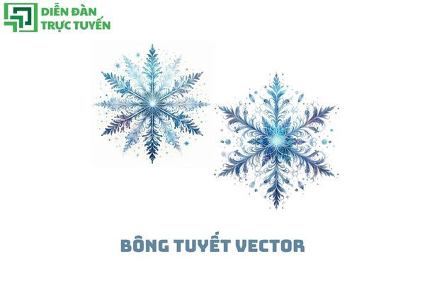 Bông tuyết vector
