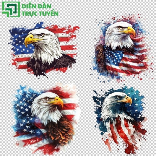 Hình cờ mỹ vector hiện đại