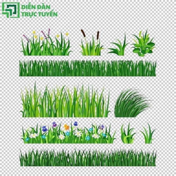 Mẫu sân cỏ vector trừu tượng