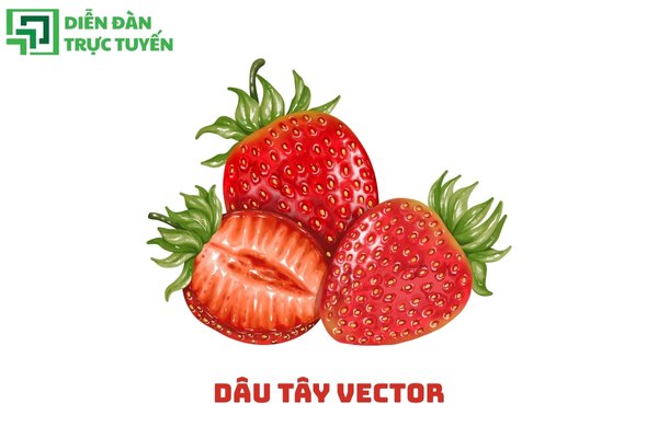 Dâu tây vector