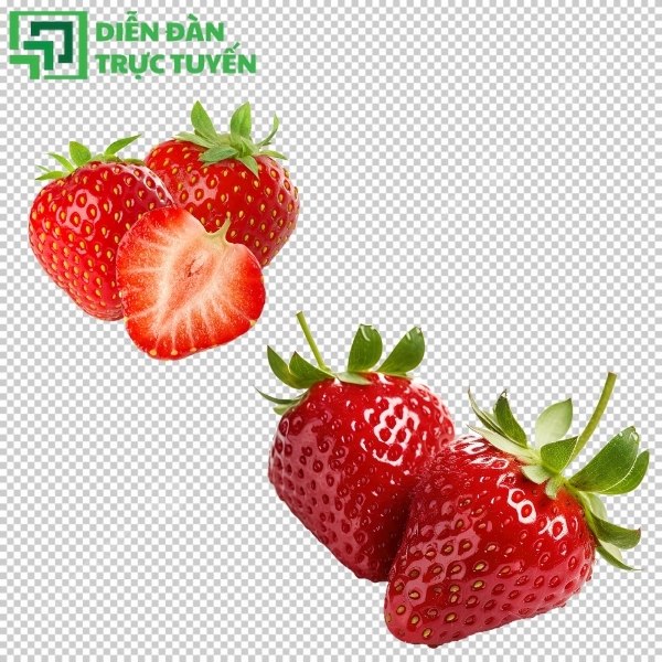 Mẫu dâu tây quả mọng đỏ tươi