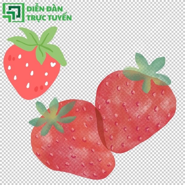 Tải dâu tây vector miễn phí chất lượng