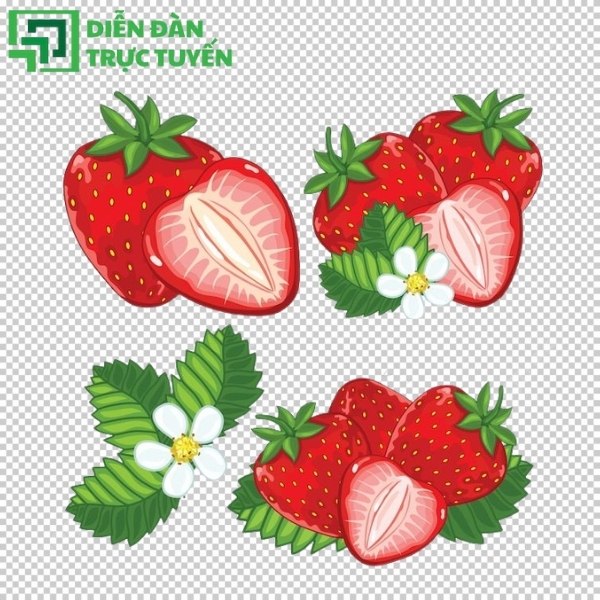 Dâu tây vector tách nền với lá xanh
