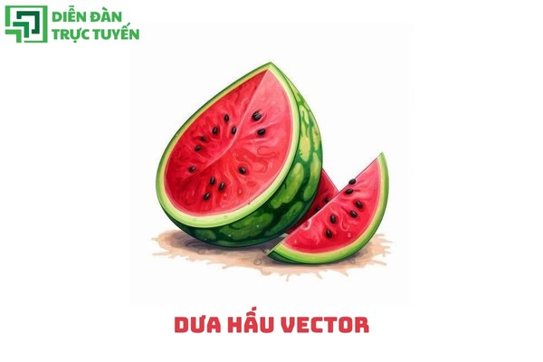 Dưa hấu vector