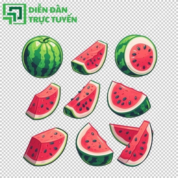 Mẫu dưa hấu vector 3D sống động