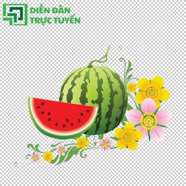 Tải dưa hấu vector miễn phí chất lượng