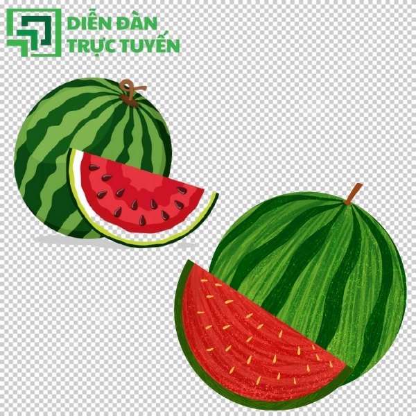 Mẫu dưa hấu vector nguyên quả cổ điển
