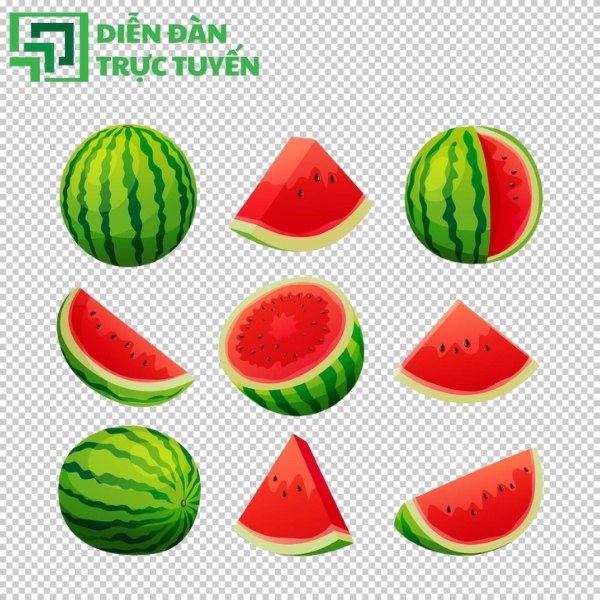 Mẫu dưa hấu vector tách nền 