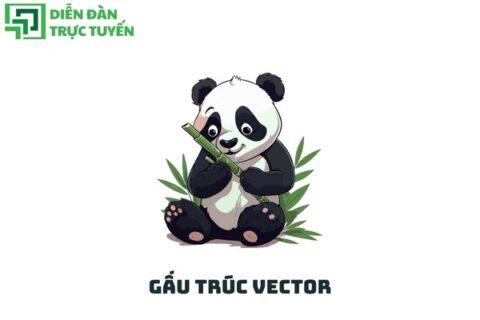 Gấu trúc vector