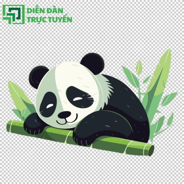 Vector gấu trúc đáng yêu cho mọi thiết kế