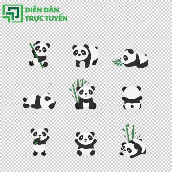 Mẫu gấu trúc vector minimalist