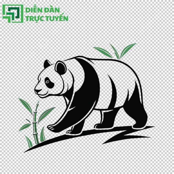 Mẫu gấu trúc vector watercolor
