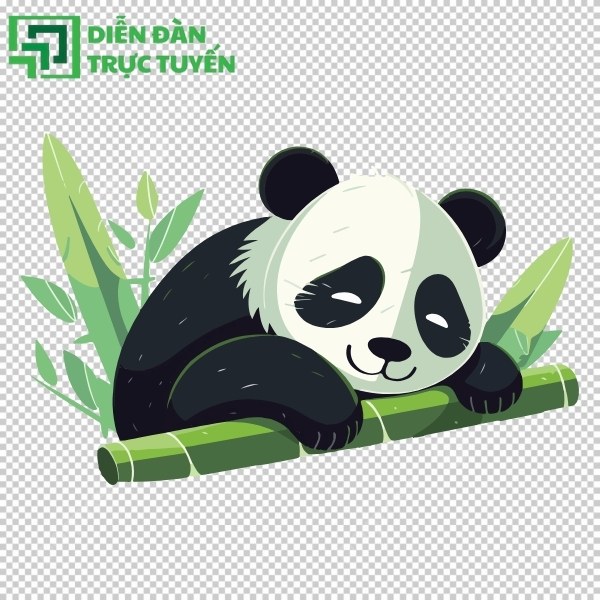 File gấu trúc vector đẹp, tách nền sẵn