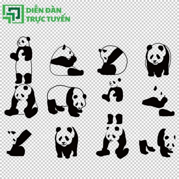 Gấu trúc set icon 50 kiểu
