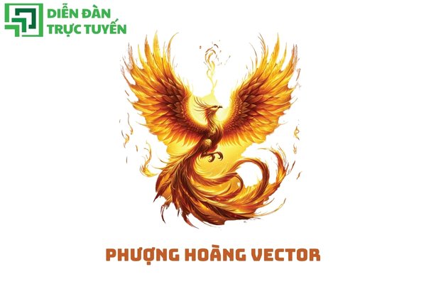 Phượng hoàng vector