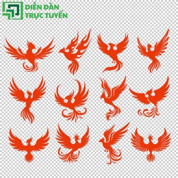 Phượng hoàng vector đẹp, gọn nhẹ, tải là dùng liền