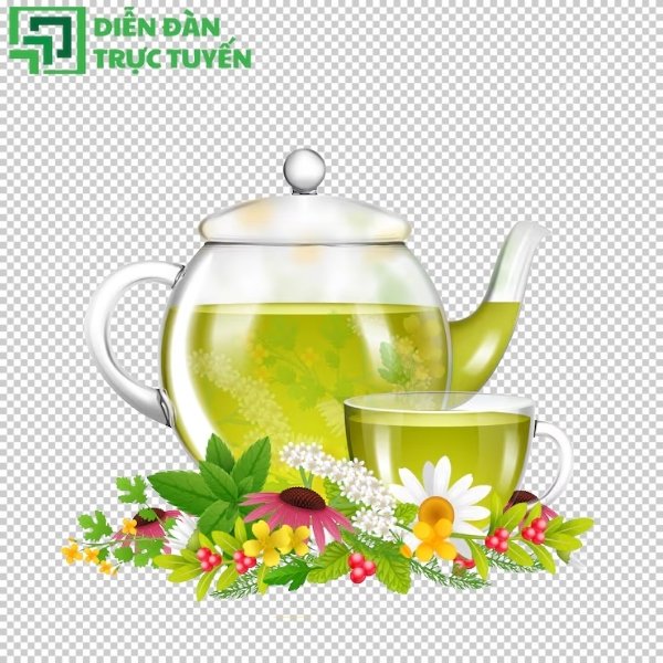 Mẫu ấm trà tinh tế, dễ dùng cho mọi thiết kế
