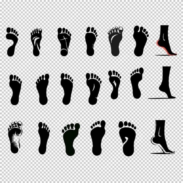 Tải miễn phí mẫu bàn chân vector file PNG, AI, EPS