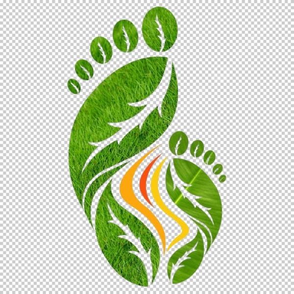 Footprint vector tối giản nhưng nổi bật