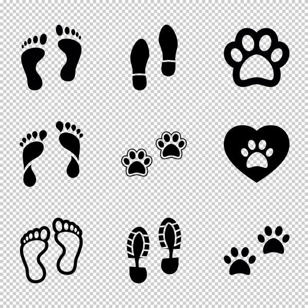 Foot vector dùng cho poster và infographic