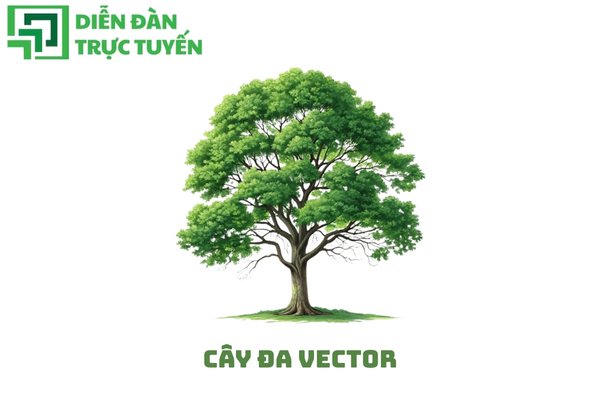 Cây đa vector