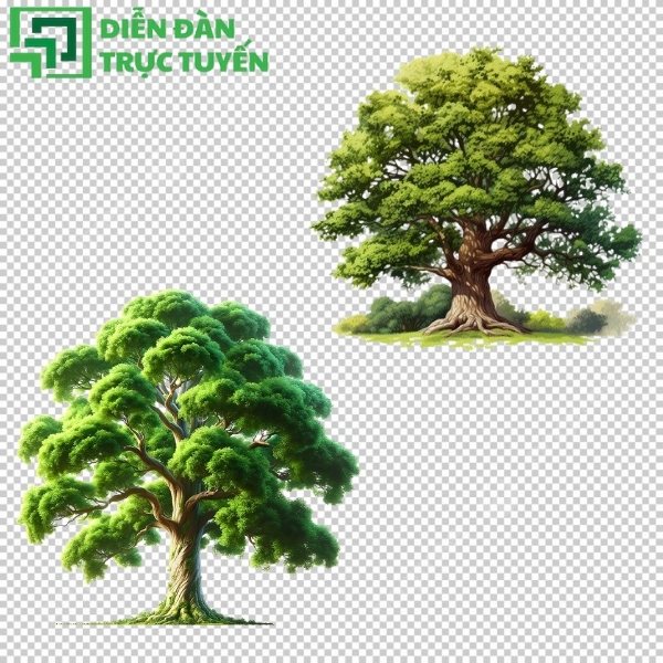 Tải miễn phí mẫu cây đa File PNG, AI, EPS