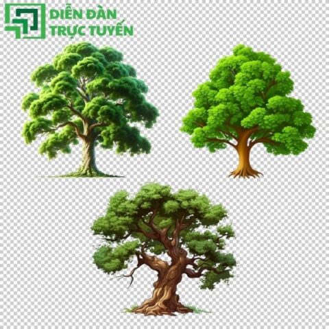 70+ Mẫu Cây Đa Vector Đẹp Miễn Phí File AI, EPS, PNG