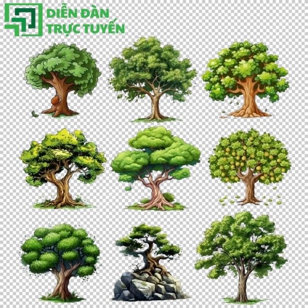 Tạo dấu ấn riêng cho thương hiệu với vector cây đa độc quyền