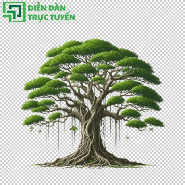 Khám phá vẻ đẹp cổ thụ với bộ cây đa vector sắc nét cho mọi thiết kế