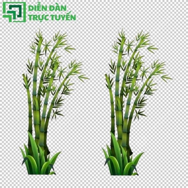 File cây mía vector dễ chỉnh sửa, chuẩn dành cho designer