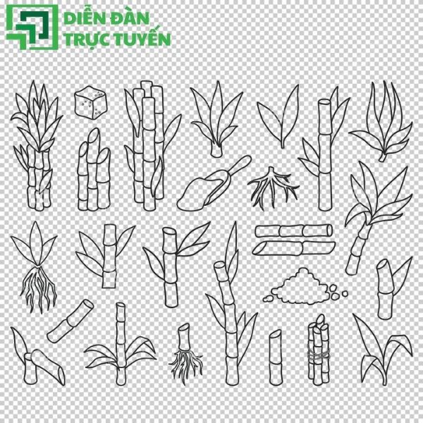 Vector cây mía tinh gọn, sẵn sàng cho mọi ý tưởng