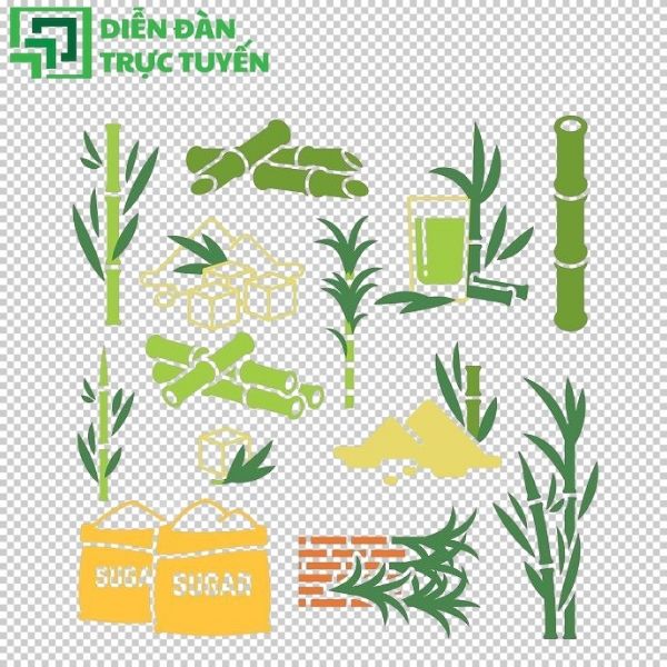 Vector cây mía phong cách tối giản