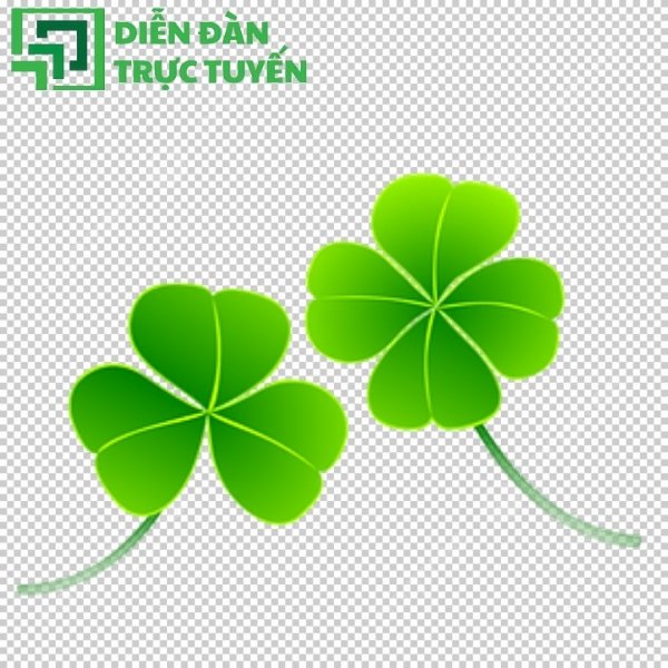 Tải cỏ 3 lá vector nền trong suốt