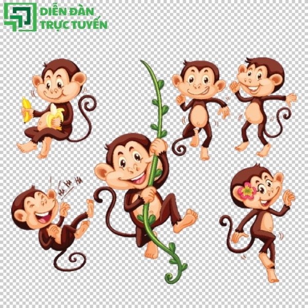 Mẫu con khỉ vui nhộn, tinh nghịch