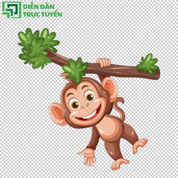Con khỉ minh họa