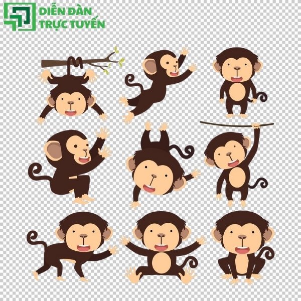 Mẫu con khỉ vector 3D