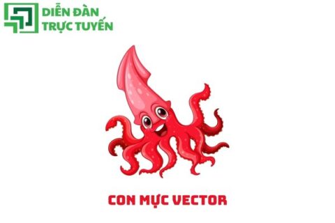 Con Mực Vector