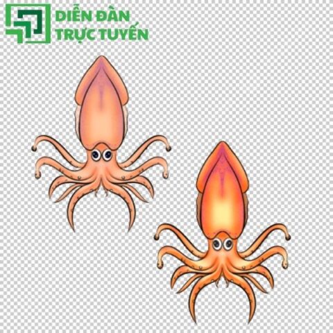 Tải 40+ Mẫu Con Mực Vector Đẹp, Sắc Nét Miễn Phí
