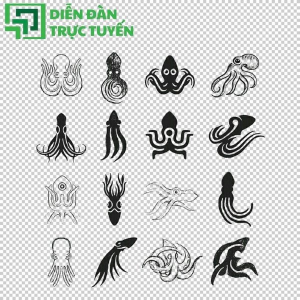 Thiết kế nổi bật với bộ con mực vector độc đáo