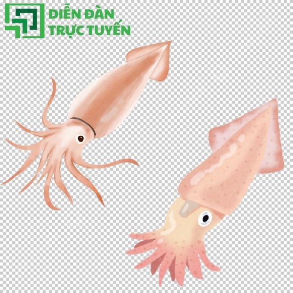 Hình con mực vector dùng cho mọi nền tảng đồ họa