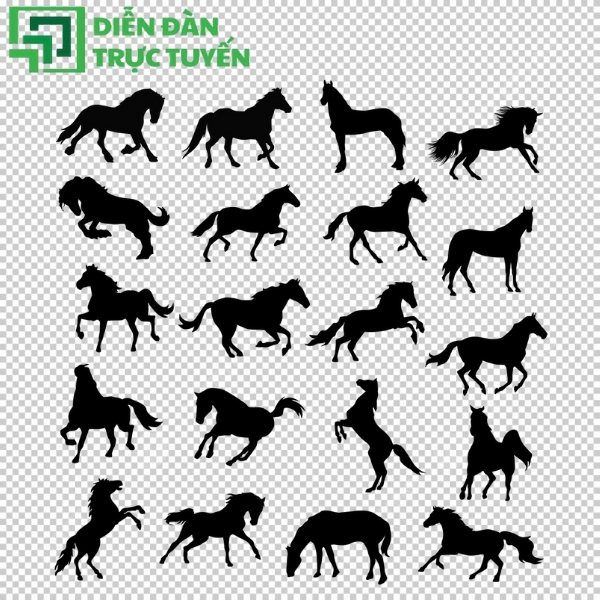 Bộ ngựa vector đa dạng kiểu dáng