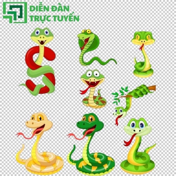 Mẫu vector rắn độc đáo, chuẩn in ấn