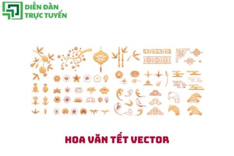 Hoa văn tết vector
