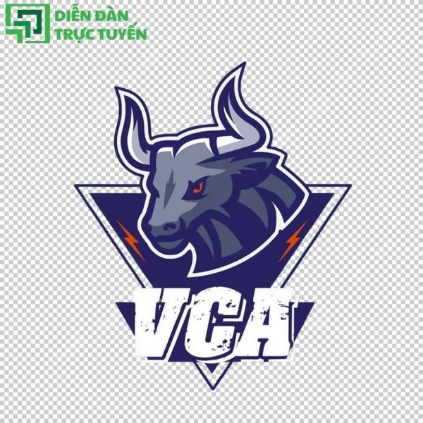 Câu lạc bộ Thể thao Học viện Tòa án