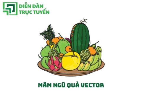 Mâm Ngũ Quả Vector