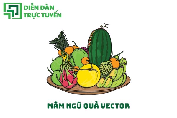 Mâm Ngũ Quả Vector