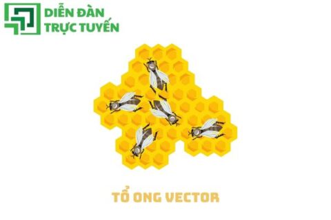 Tổ ong vector đẹp