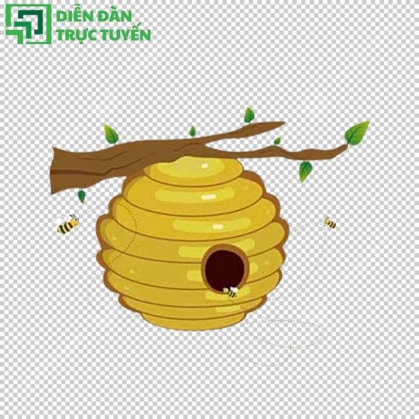 Bộ tổ ong vector miễn phí – thêm ngay vào thư viện thiết kế!